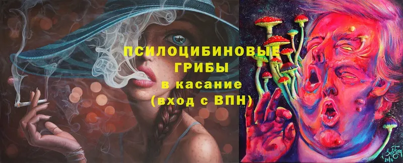 Галлюциногенные грибы Psilocybe Стерлитамак